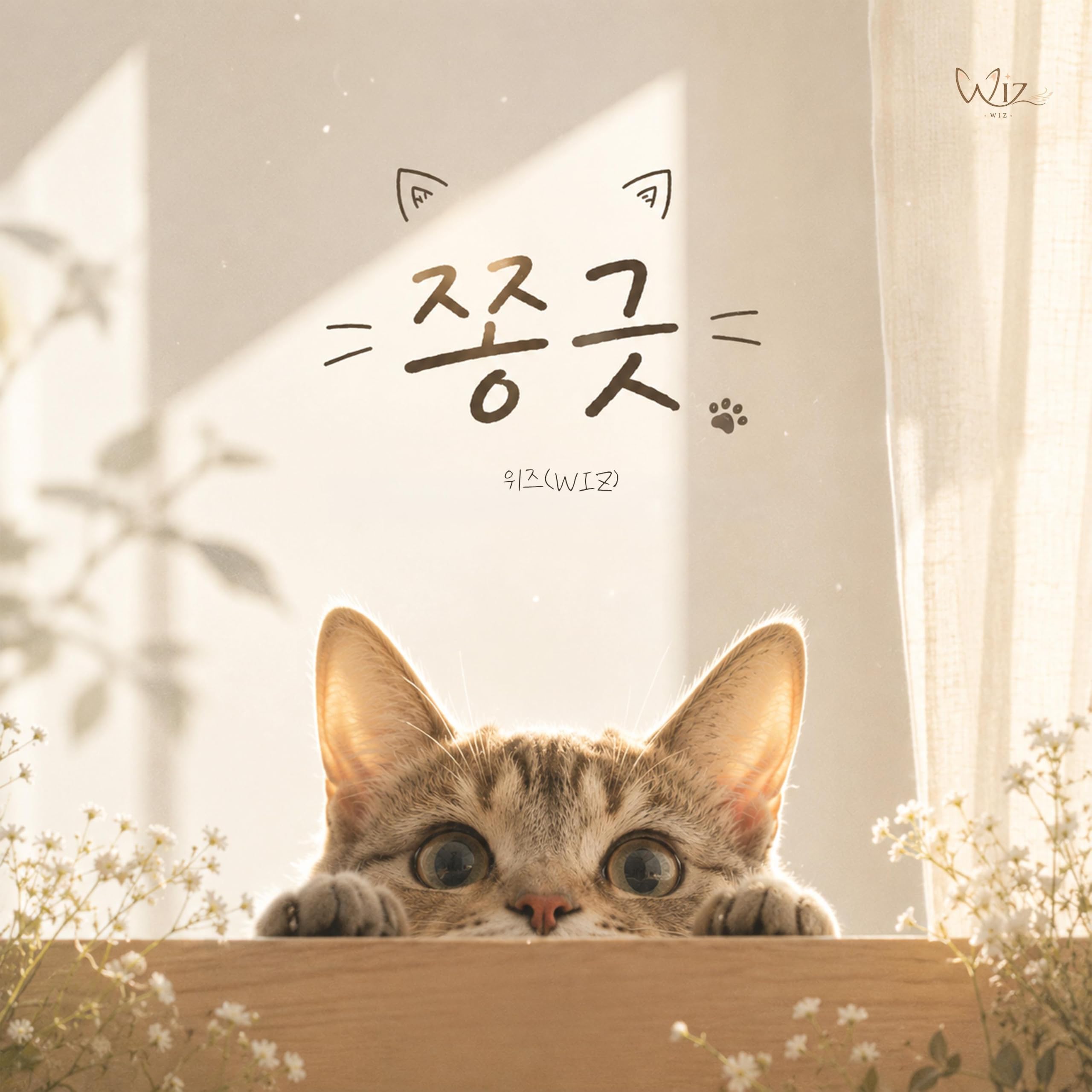 Image Cover